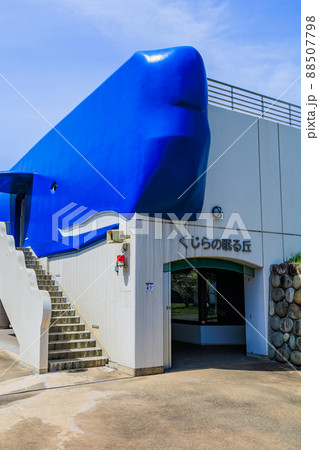 くじらの眠る丘(鹿児島県南さつま市大浦町) くじらの眠る丘(鹿児島県南さつま市大浦町) 88507798