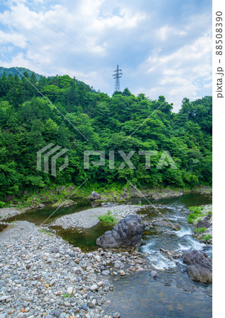わたらせ渓谷　 渡良瀬川　東橋からの眺め　わたらせ渓谷鉄道中野駅付近　初夏の風景　　　 88508390