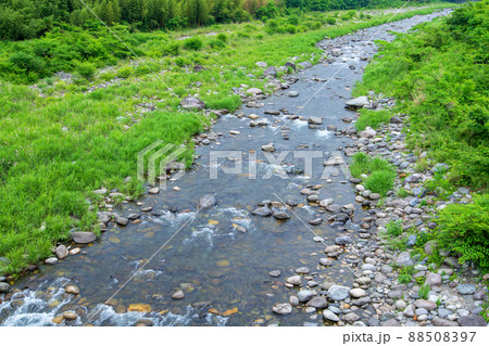 わたらせ渓谷　 渡良瀬川　東橋からの眺め　わたらせ渓谷鉄道中野駅付近　初夏の風景　　　 88508397