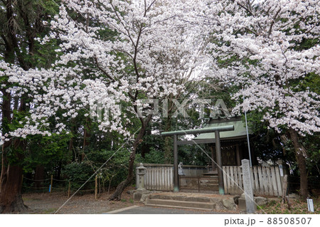 【愛知県】　砥鹿神社 88508507