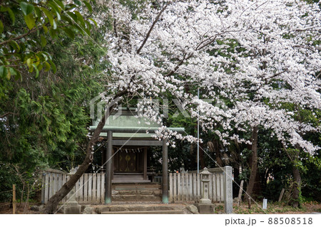 【愛知県】　砥鹿神社 88508518