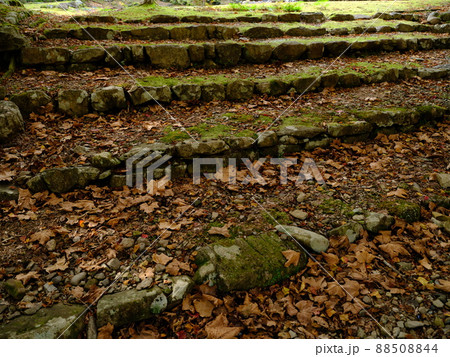 石段と枯れ葉 石段と枯れ葉 88508844