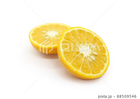 夏蜜柑(夏みかん) 夏蜜柑(夏みかん) 88509546