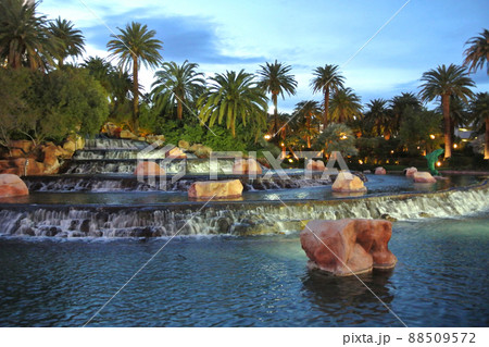 ラスベガスの風景 ミラージュホテル前庭園 88509572