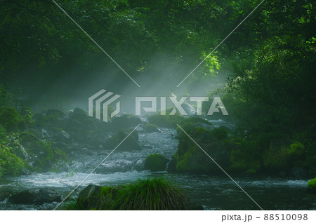 もやのかかった木曽川水系の渓流(手前岩あり) もやのかかった木曽川水系の渓流(手前岩あり) 88510098