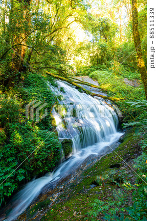 Lan Sa Ded waterfall at Kew Mae Pan Nature Trail in Doi Inthanon, Chiang Mai, Thailand Lan Sa Ded waterfall at Kew Mae Pan Nature Trail in Doi Inthanon, Chiang Mai, Thailand 88511339