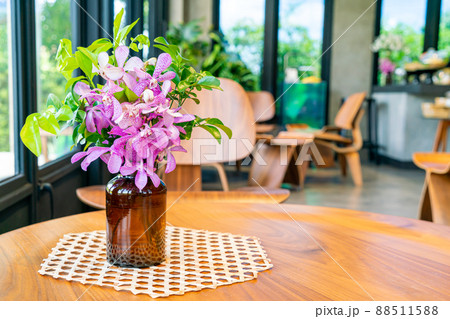 orchid flowers in vase orchid flowers in vase 88511588