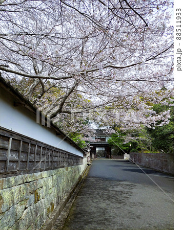 日南市飫肥城 日南市飫肥城 88511933