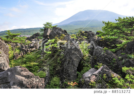 夏の鬼押出し園 88513272