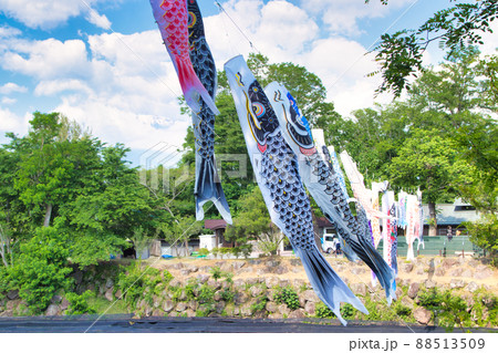 わさび農場の鯉のぼり 88513509