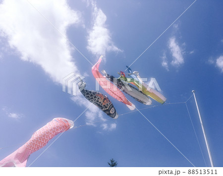 鯉のぼり 88513511