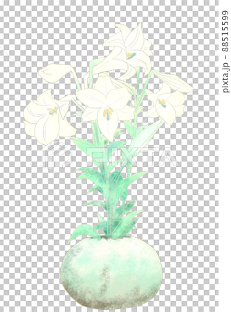 たまご型の花器に生けた白百合（テッポウユリ、イースターリリー）の和風イラスト背景切り抜き 88515599