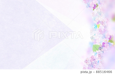 紫陽花の季節 背景素材 紫陽花の季節 背景素材 88516466