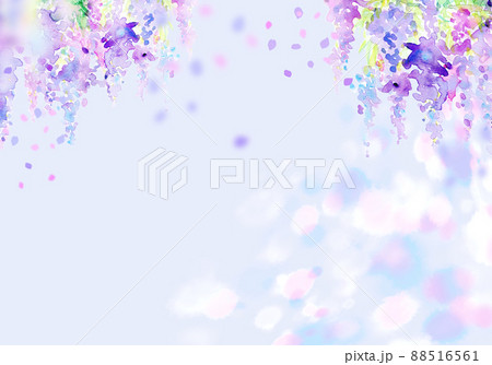 藤の花 背景素材 藤の花 背景素材 88516561