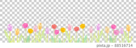 Illustration material: Banner of tulip field in full bloom hand-painted with watercolors / with copy space 88516714