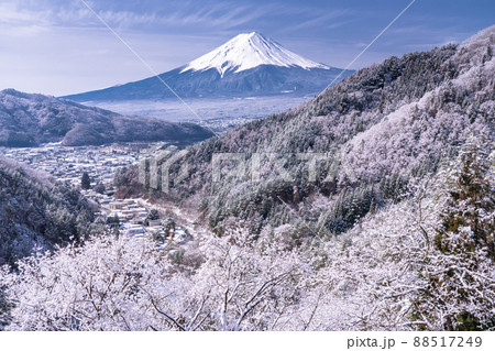 《山梨県》富士山と樹氷・日本の冬景色 88517249