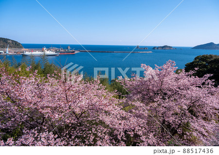 宮崎県日南市梅ヶ丘の桜から望む油津港と七つ岩 宮崎県日南市梅ヶ丘の桜から望む油津港と七つ岩 88517436