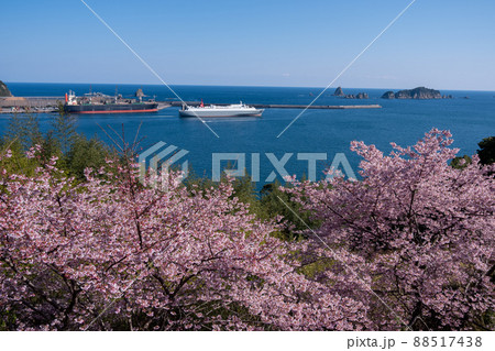 宮崎県日南市梅ヶ丘の桜から望む油津港と七つ岩 88517438