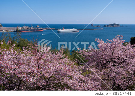 宮崎県日南市梅ヶ丘の桜から望む油津港と七つ岩 88517441