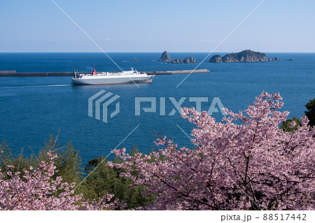 宮崎県日南市梅ヶ丘の桜から望む油津港と七つ岩 88517442