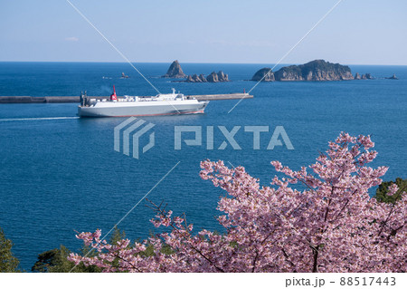宮崎県日南市梅ヶ丘の桜から望む油津港と七つ岩 88517443