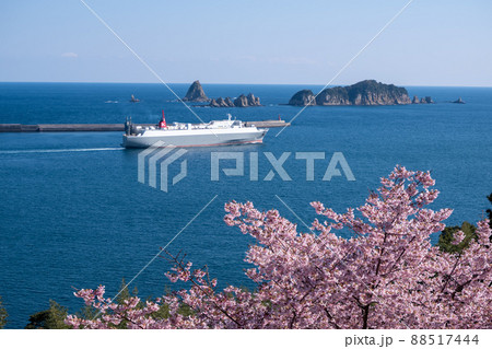 宮崎県日南市梅ヶ丘の桜から望む油津港と七つ岩 宮崎県日南市梅ヶ丘の桜から望む油津港と七つ岩 88517444