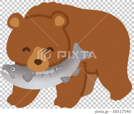 鮭をくわえた熊のイラスト素材 [88517540] - PIXTA