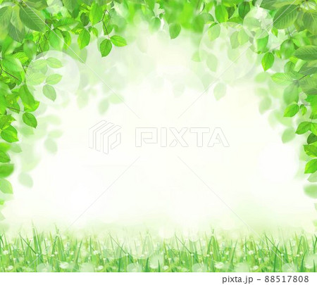 初夏の美しい木漏れ日の差し込む新緑とボケの緑のきらめく光るバックグラウンドのイラスト素材 88517808
