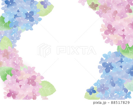 水彩の紫陽花(あじさい)のイラスト 水彩の紫陽花(あじさい)のイラスト 88517829