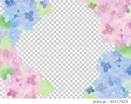 Illustration of watercolor hydrangea Illustration of watercolor hydrangea 88517829