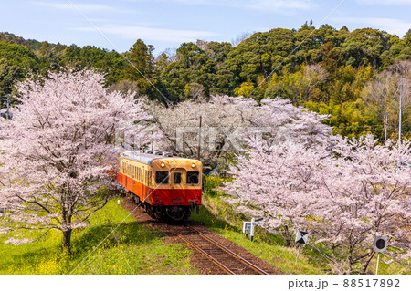 飯給駅を出発する小湊鉄道 88517892