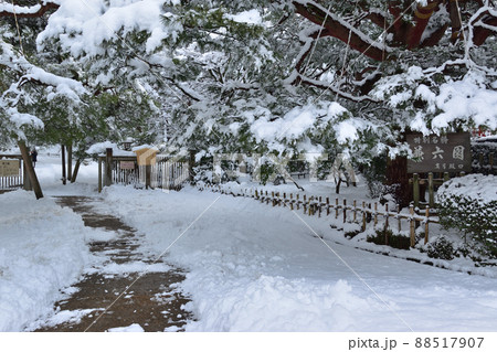 金沢市 兼六園雪景色 金沢市 兼六園雪景色 88517907
