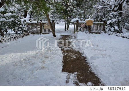 金沢市　兼六園雪景色 88517912