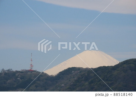 春の富士山と湘南平のテレビ塔 春の富士山と湘南平のテレビ塔 88518140