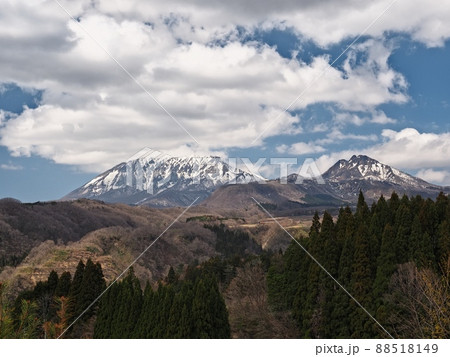 内海乢からみる初春の大山と烏ヶ山 88518149