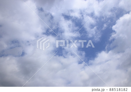 奈良公園 88518182