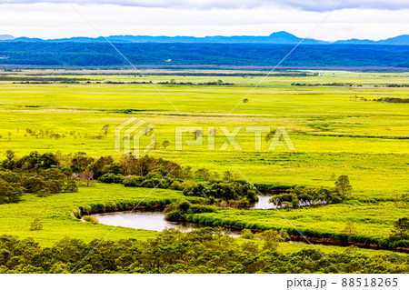 【北海道・釧路湿原】細岡展望台からの眺望 7月 88518265