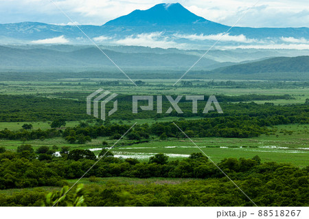 【北海道・釧路湿原】細岡展望台からの眺望 7月 88518267