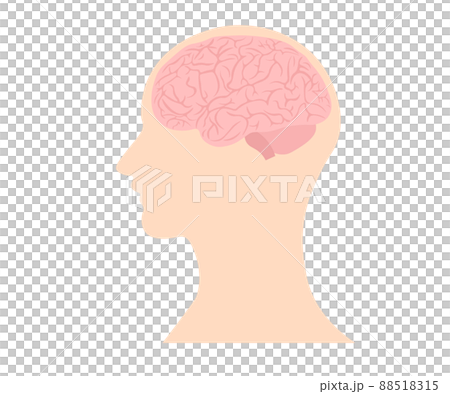 Brain Miso Brain 88518315
