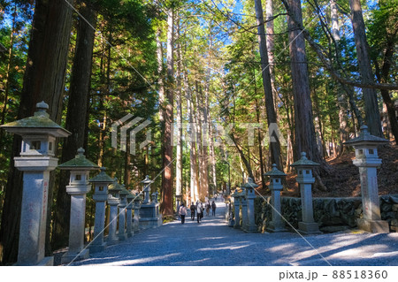 埼玉県秩父市 三峯神社 参道 88518360
