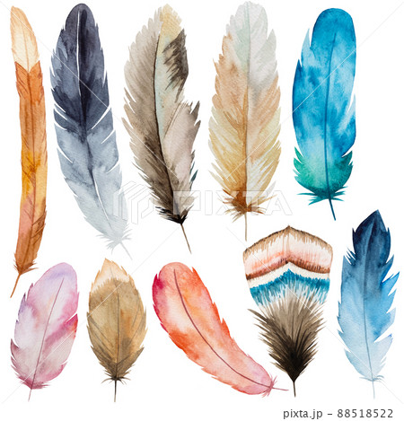 Watercolor feathers, Bohemian elements illustration isolated Watercolor feathers, Bohemian elements illustration isolated 88518522