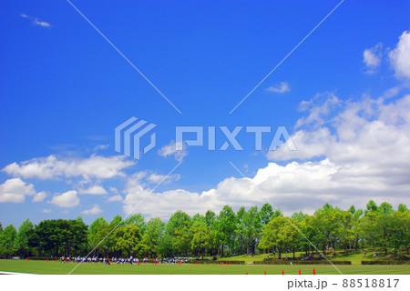 公園から青空を望む 公園から青空を望む 88518817