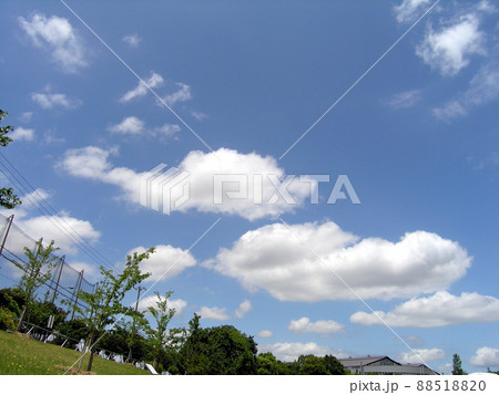 公園から青空を望む 88518820