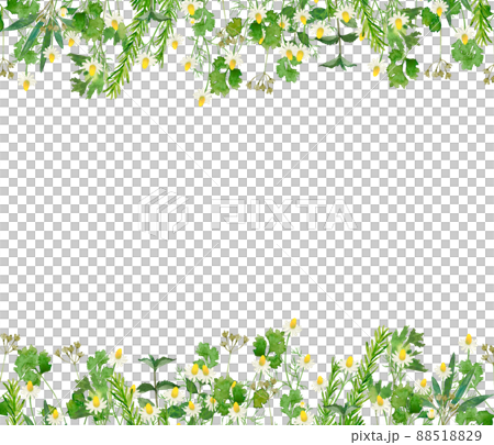 流行柔和色彩的斯堪的納維亞草本時尚水彩植物的白色背景矢量框架插圖素材 88518829