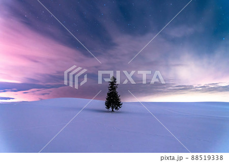 《北海道》星空とクリスマスツリーの木・冬の美瑛 88519338