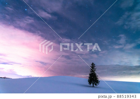 《北海道》星空とクリスマスツリーの木・冬の美瑛 《北海道》星空とクリスマスツリーの木・冬の美瑛 88519343