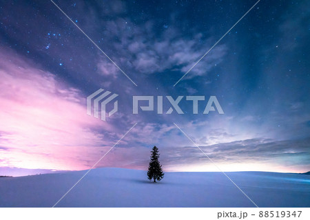 《北海道》星空とクリスマスツリーの木・冬の美瑛 88519347