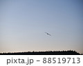 夕方の海と鳥 88519713