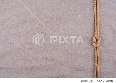 Summer nautical marine background with shell 88523890
