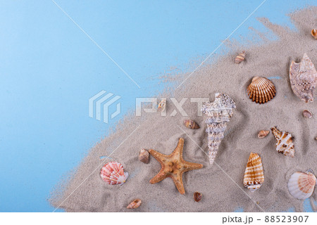 Summer nautical marine background with shell 88523907